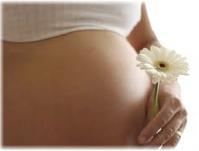 IVF and Fertility. Fertility